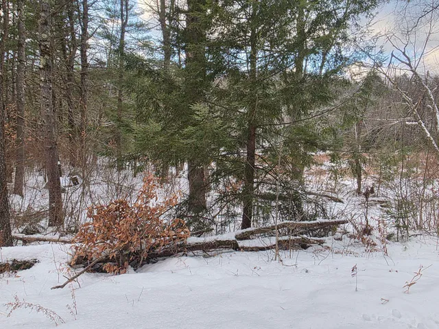 $75,000 | 0 Route 10 Highway, Gilsum, NH 03448