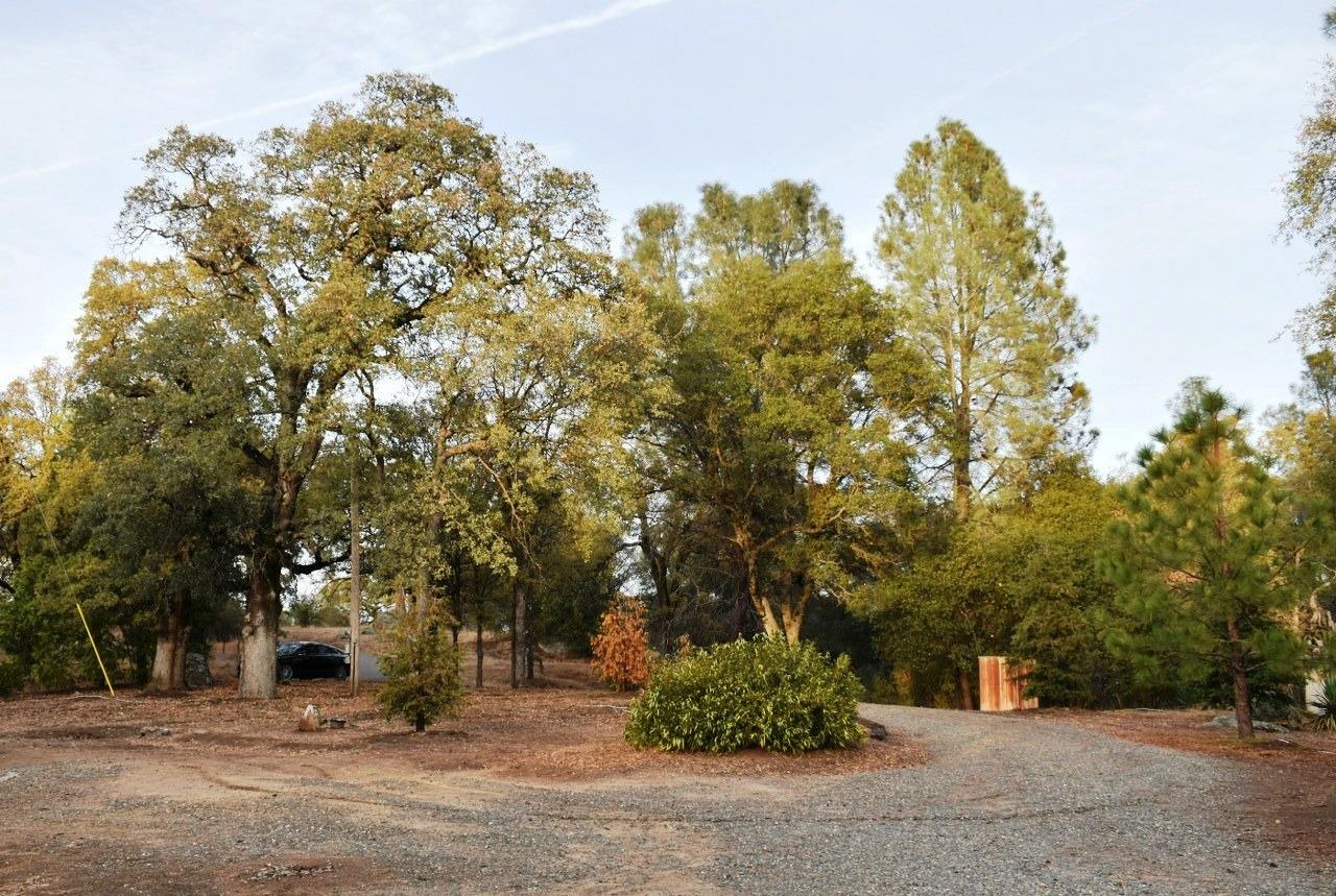 4974 Jacobs Road Mariposa, CA 95338 - Photo 34 of 42 Gallery Image 34