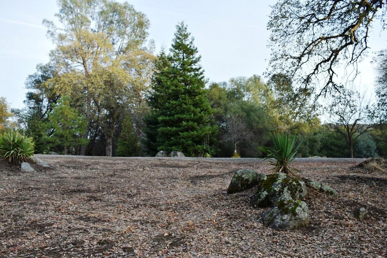 4974 Jacobs Road Mariposa, CA 95338 - Photo 36 of 42 Gallery Image 36