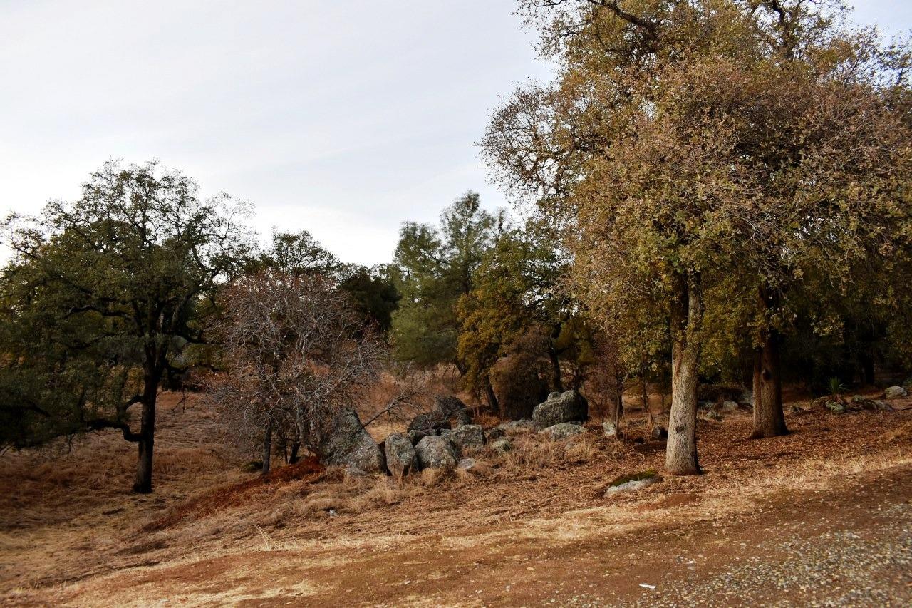 4974 Jacobs Road Mariposa, CA 95338 - Photo 37 of 42 Gallery Image 37
