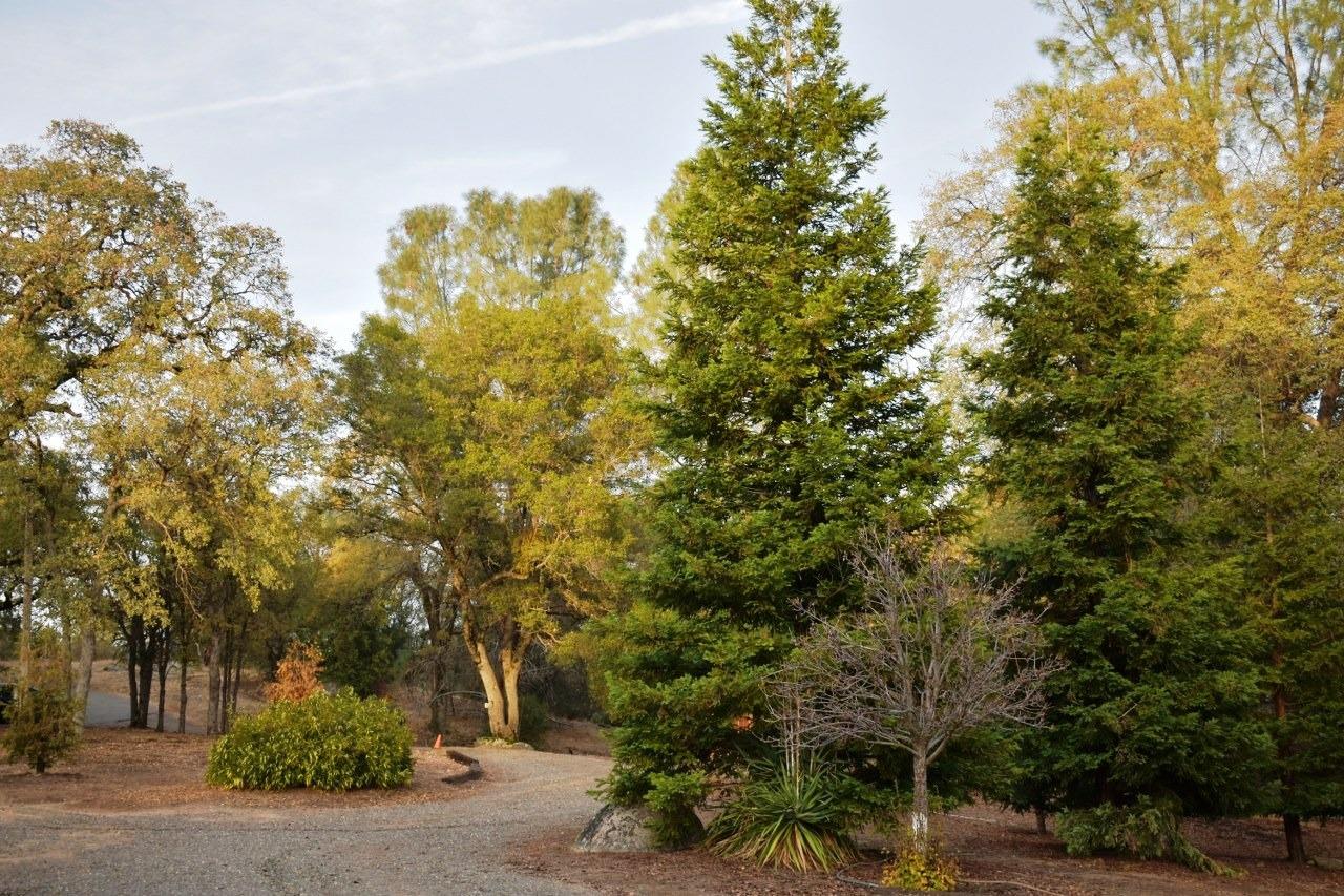 4974 Jacobs Road Mariposa, CA 95338 - Photo 39 of 42 Gallery Image 39