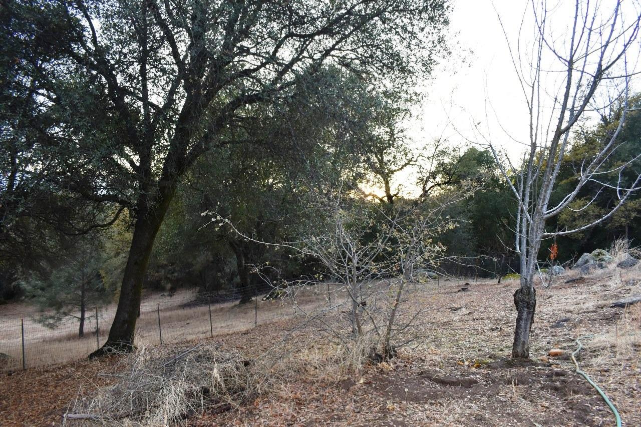 4974 Jacobs Road Mariposa, CA 95338 - Photo 42 of 42 Gallery Image 42