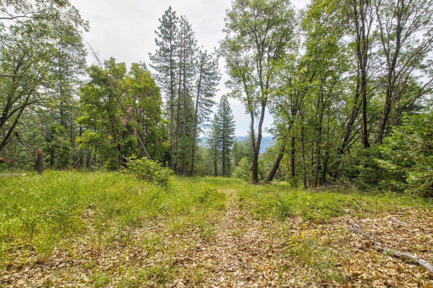 26270 Foresthill Road Foresthill, CA 95631 - Photo 43 of 54