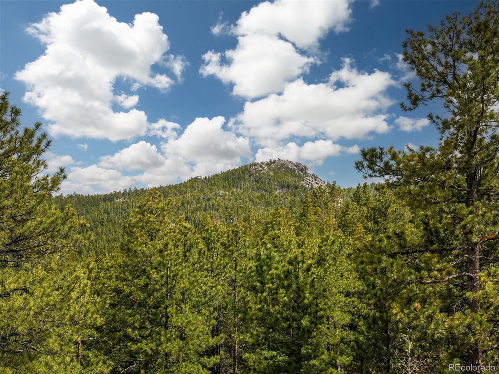 2816 Ridge Road Nederland, CO 80466 - Photo 36 of 40