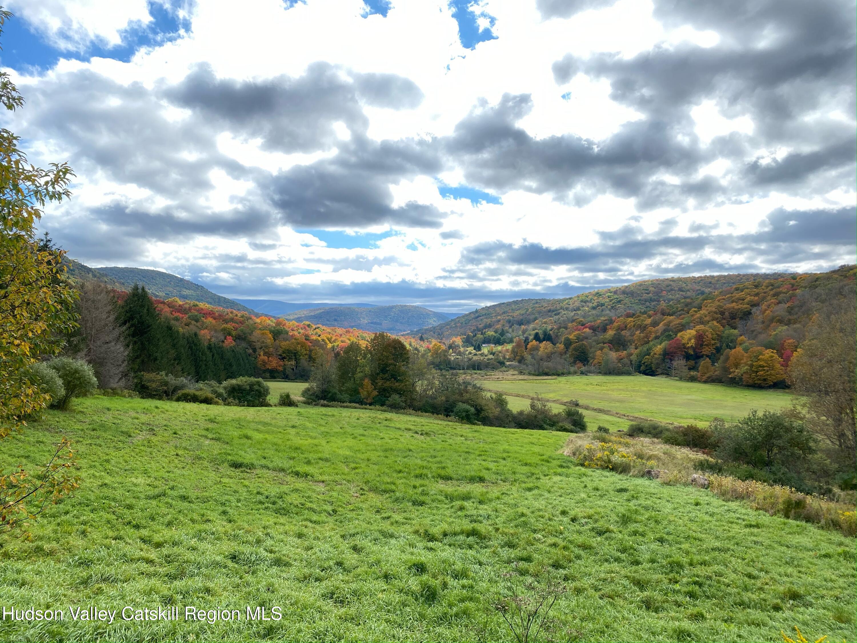 Tbd Dimmick Mountain Road Denver, NY 12421 - Photo 2 of 7 a view of an outdoor and trees