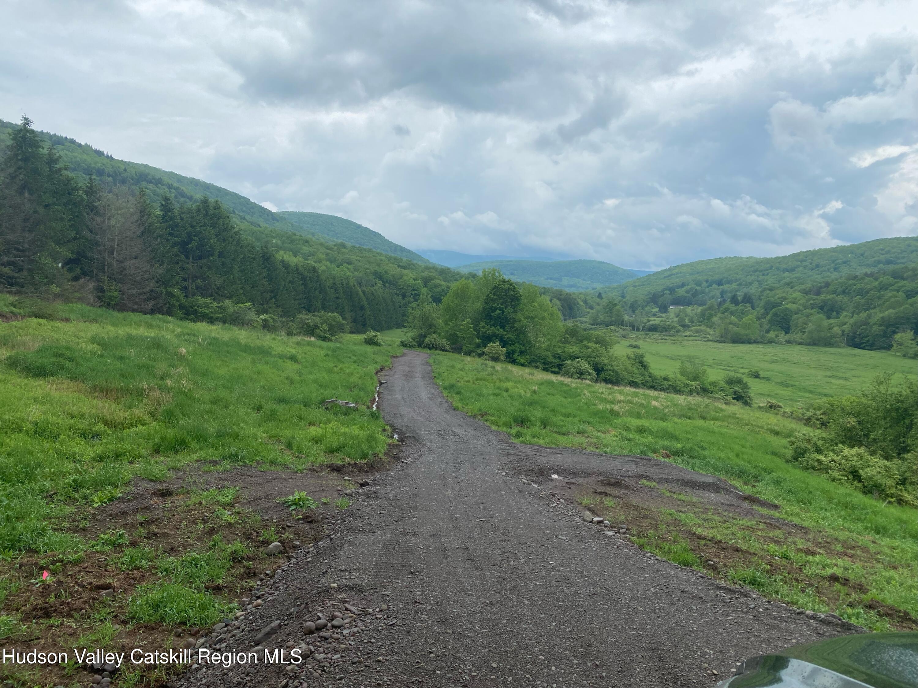 Tbd Dimmick Mountain Road Denver, NY 12421 - Photo 3 of 7 a view of a big yard with lots of green space