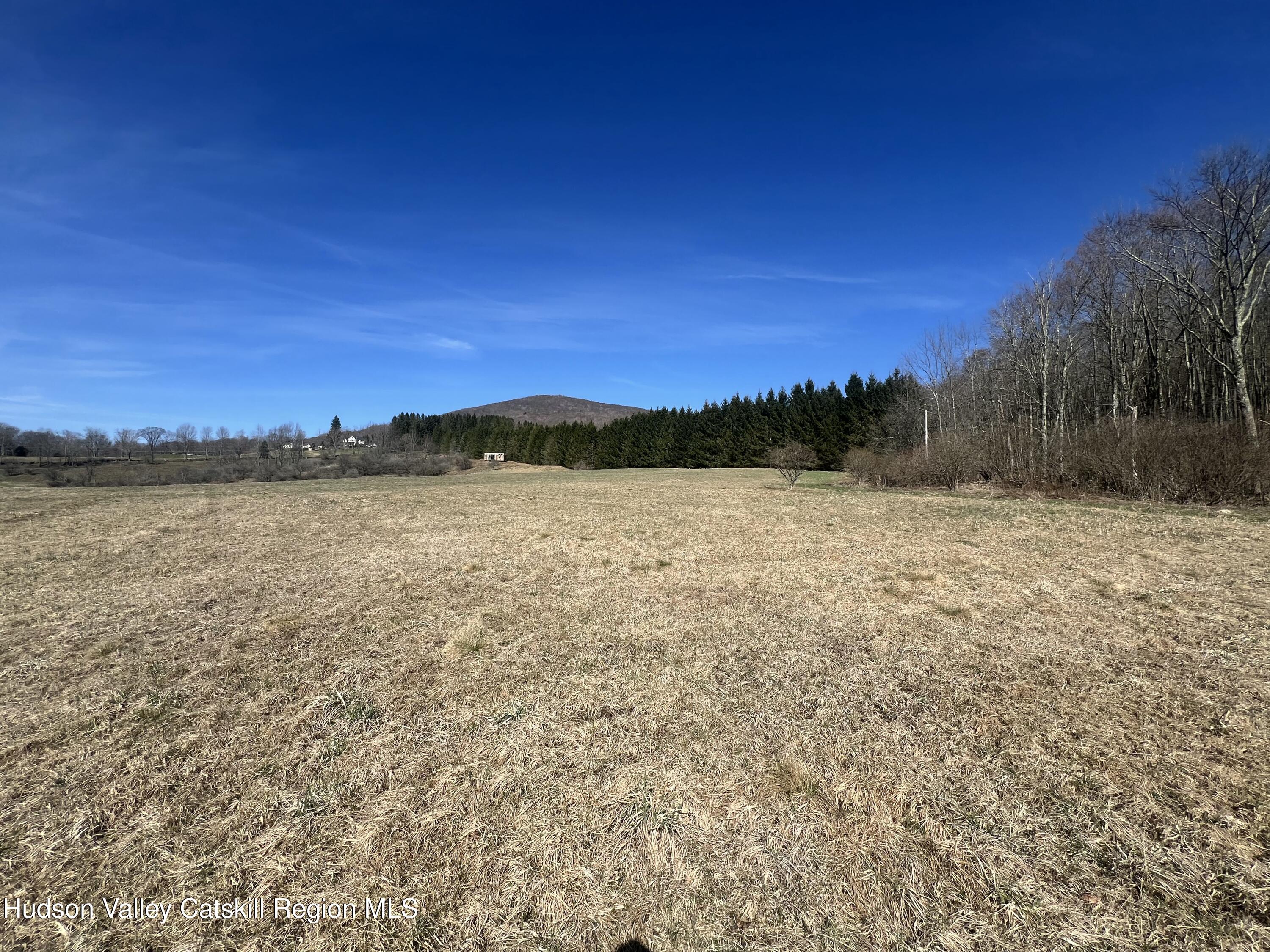 Tbd Dimmick Mountain Road Denver, NY 12421 - Photo 4 of 7 a view of lake and mountain