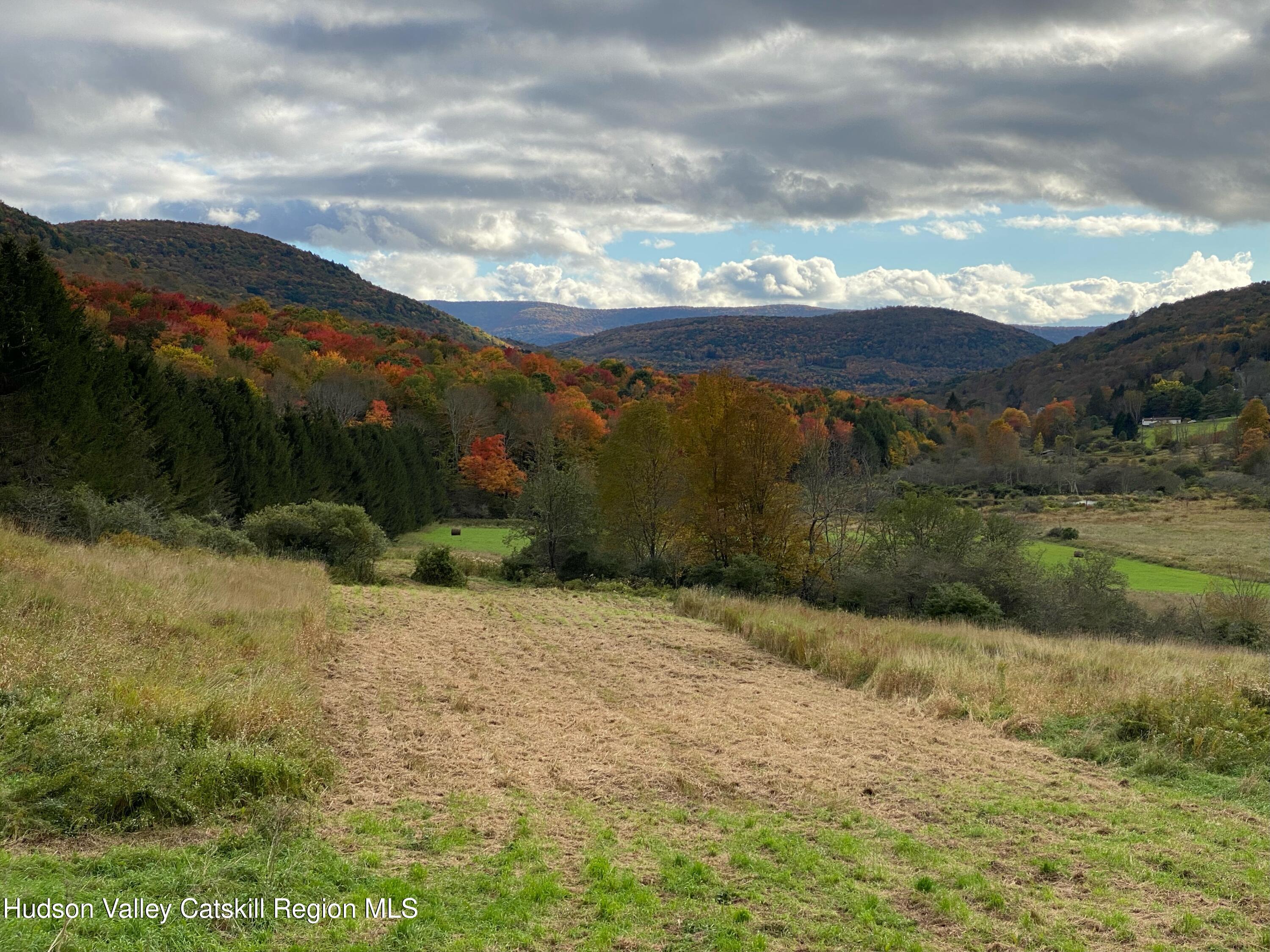 Tbd Dimmick Mountain Road Denver, NY 12421 - Photo 5 of 7 a view of a lake with mountains in the background