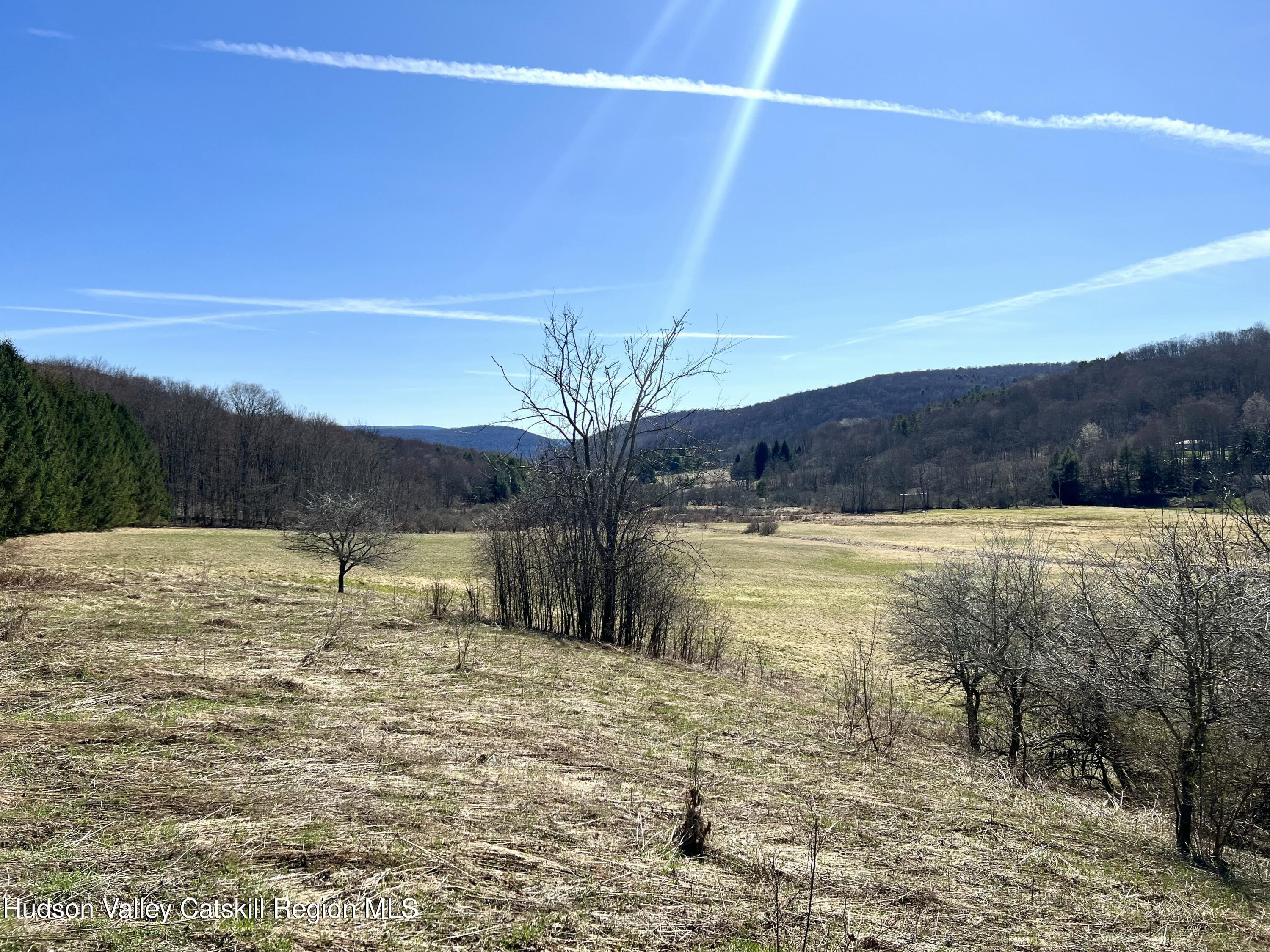 Tbd Dimmick Mountain Road Denver, NY 12421 - Photo 6 of 7 a view of lake view and mountain view
