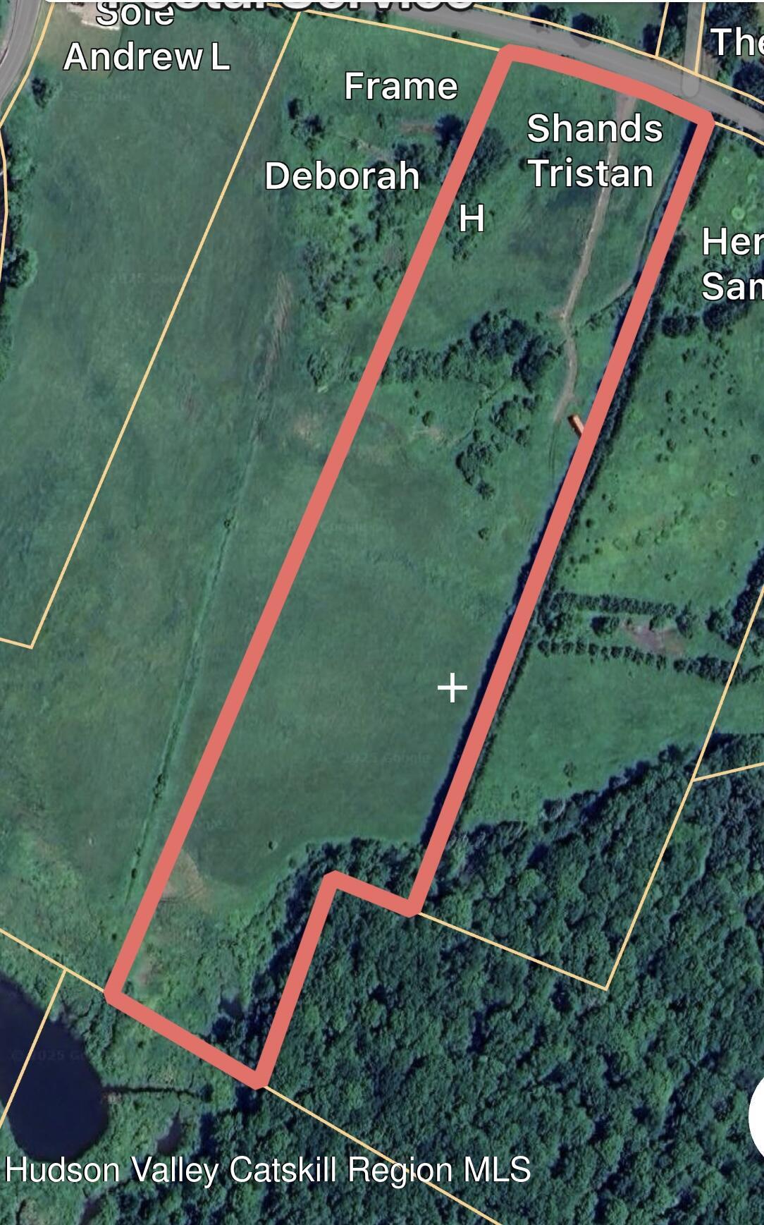 Tbd Dimmick Mountain Road Denver, NY 12421 - Photo 7 of 7 a view of a backyard with plants and wooden fence