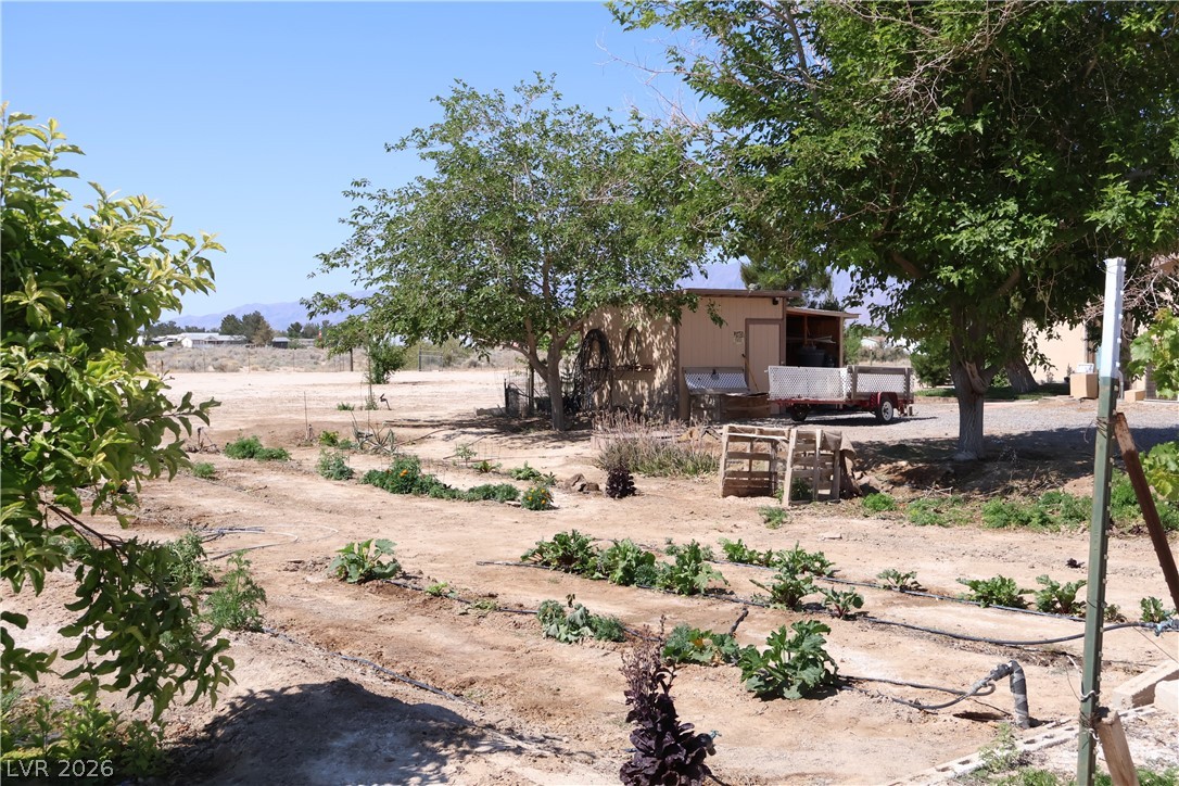 4501 East Kellogg Road Pahrump, NV 89061 - Photo 48 of 52 Cultivate your own harvest in the abundant private garden space with a small shed and mature trees.