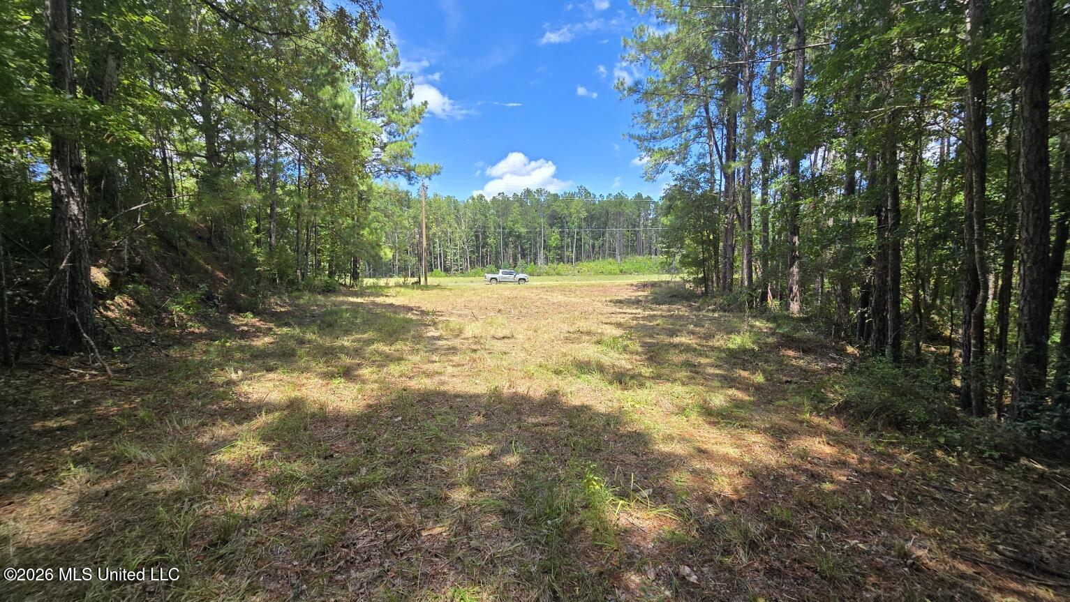 0 East E Highway Roxie, MS 39661 - Photo 11 of 13 20260827_133905