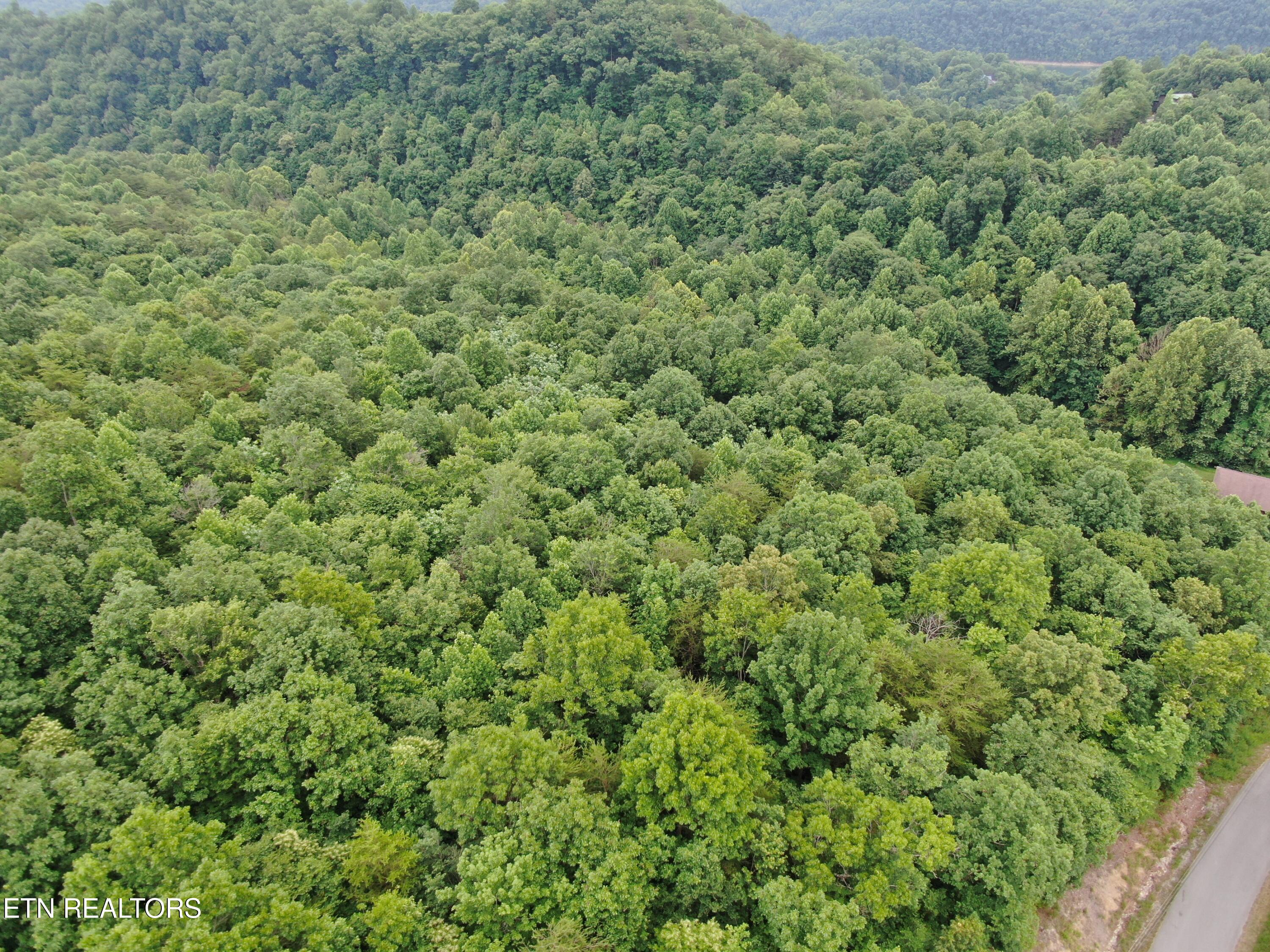 171 Bluff View Road New Tazewell, TN 37825 - Photo 15 of 27 DJI_0397