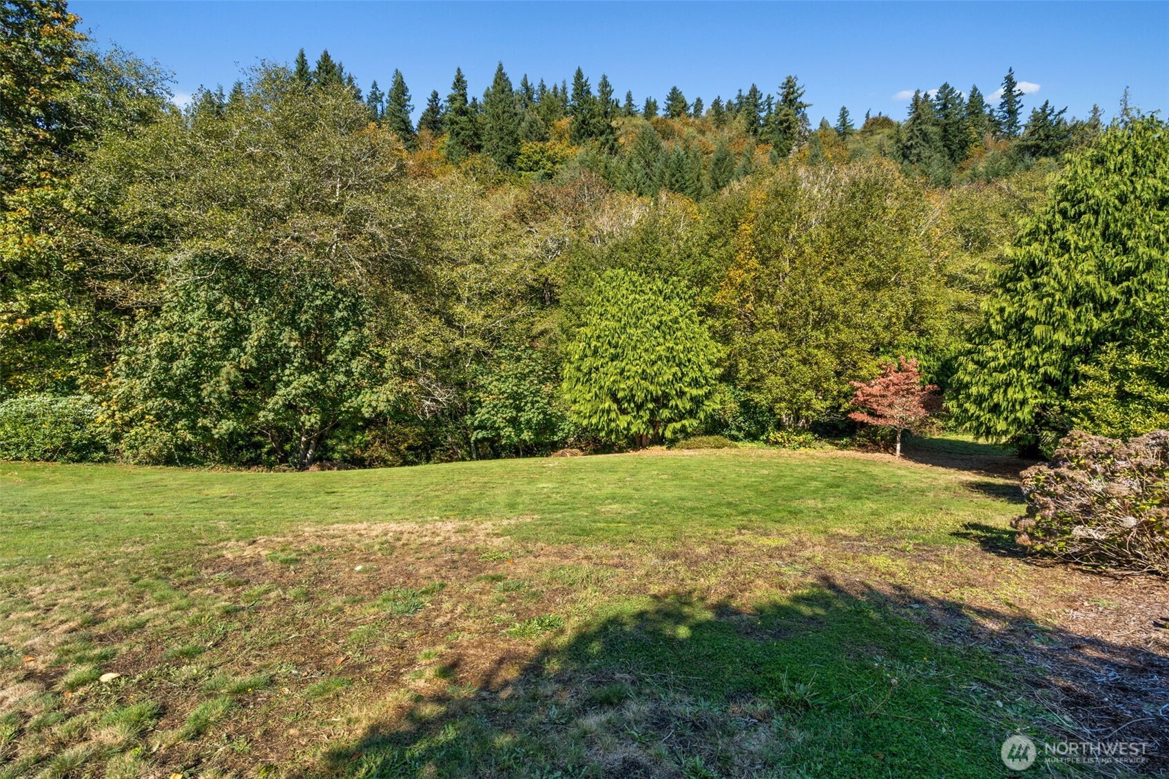 125 Mill Creek Road Raymond, WA 98577 - Photo 40 of 40 a big yard with lots of green space