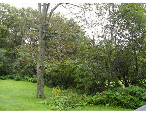 311 Locust Street Danvers, MA 01923 - Photo 15 of 15