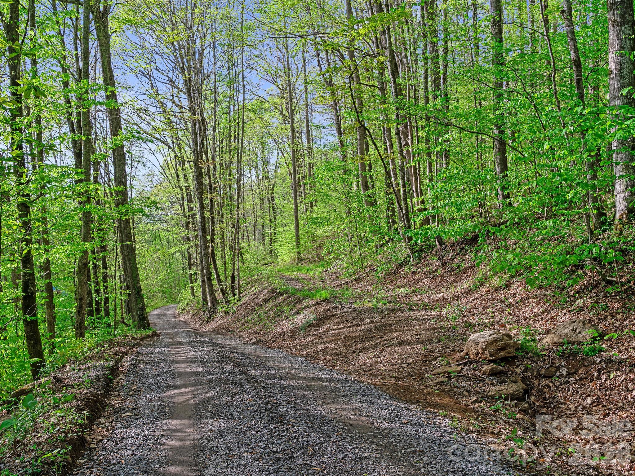 1161 Deep Gap Road Burnsville, NC 28714 - Photo 11 of 14
