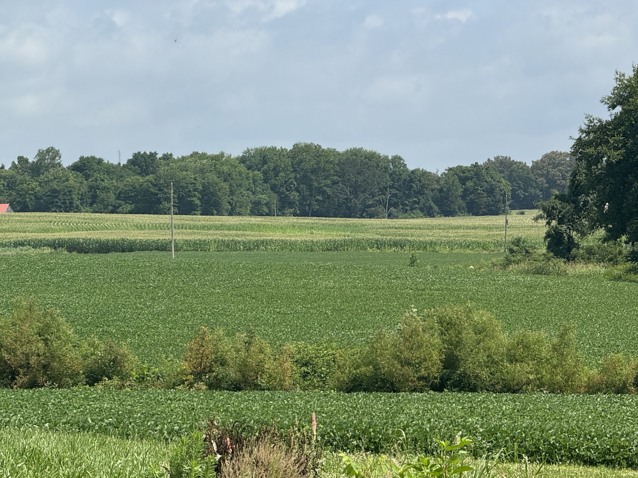 0 Zander Road Hopkinsville, KY 42240 - Photo 6 of 7