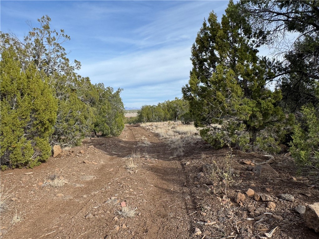 34745 West Running Shadow Road Seligman, AZ 86337 - Photo 30 of 52