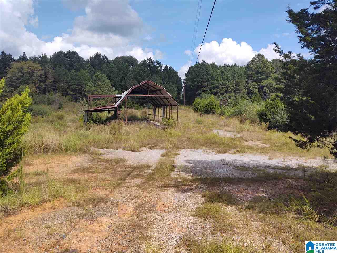 17160 Lock 17 Road, Unit 1 Brookwood, AL 35444 - Photo 3 of 13
