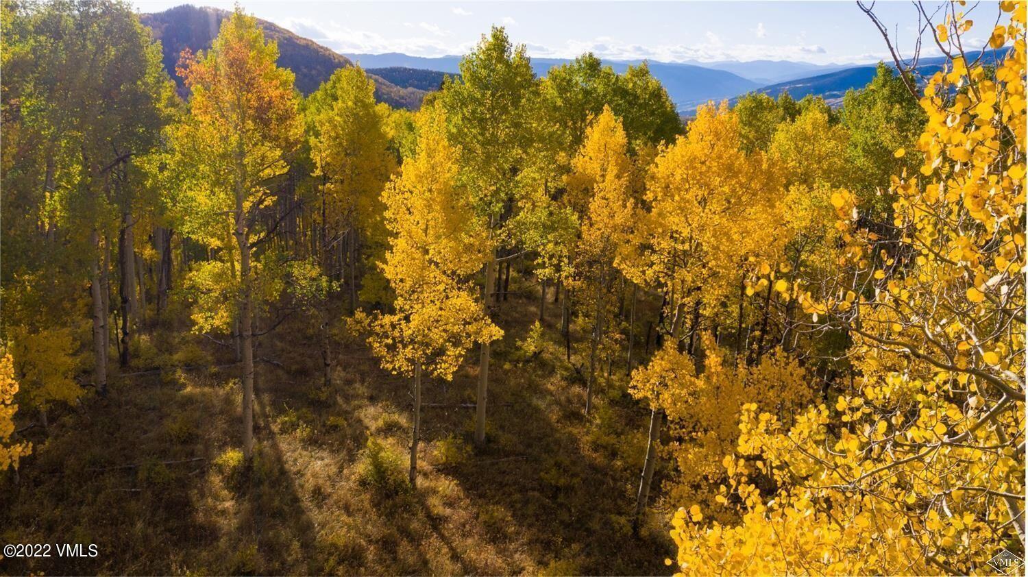 1855 Paintbrush Avon, CO 81620 - Photo 14 of 18 a view of a yard