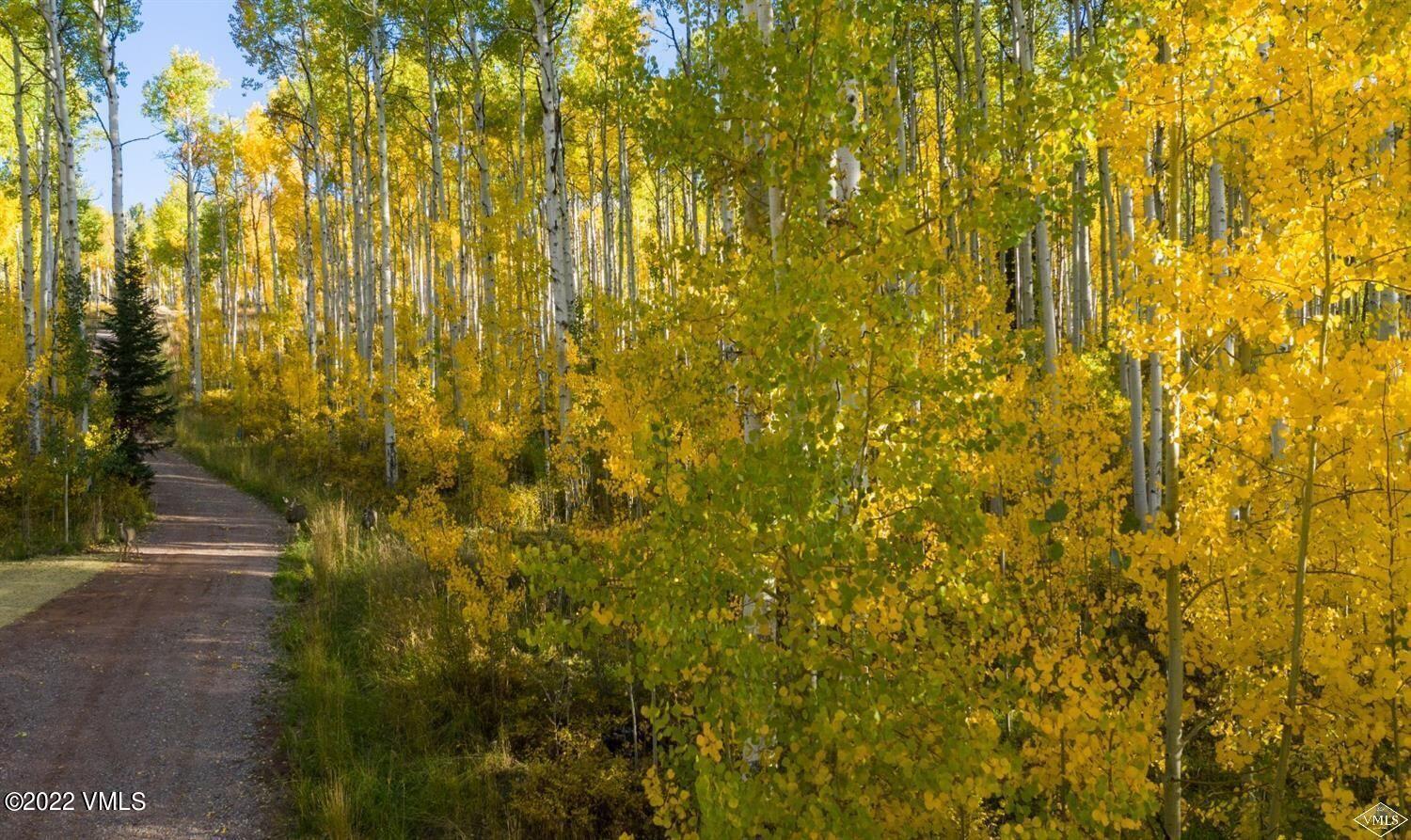 1855 Paintbrush Avon, CO 81620 - Photo 15 of 18 a view of a small yard