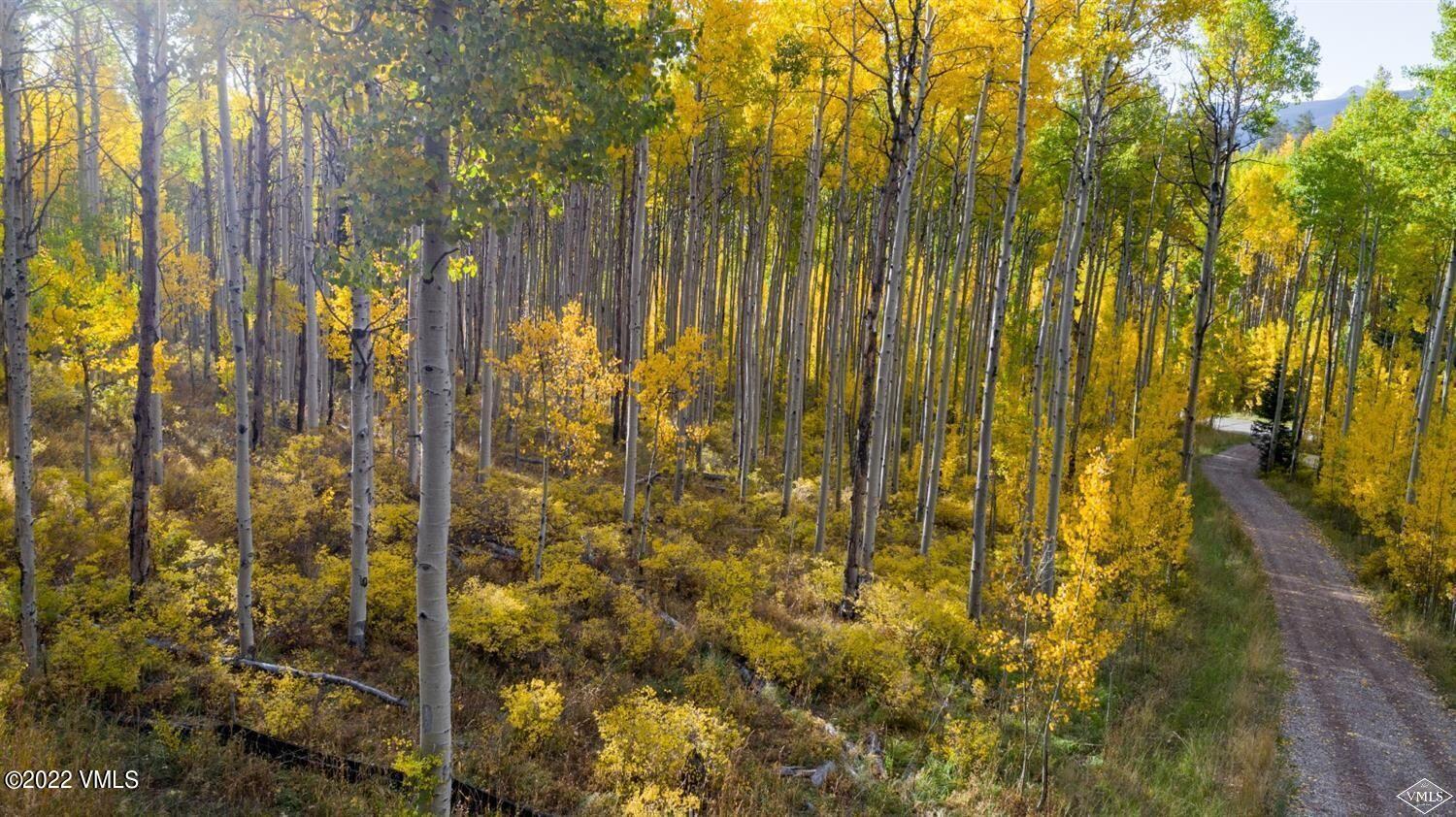 1855 Paintbrush Avon, CO 81620 - Photo 16 of 18 a bathroom with a shower