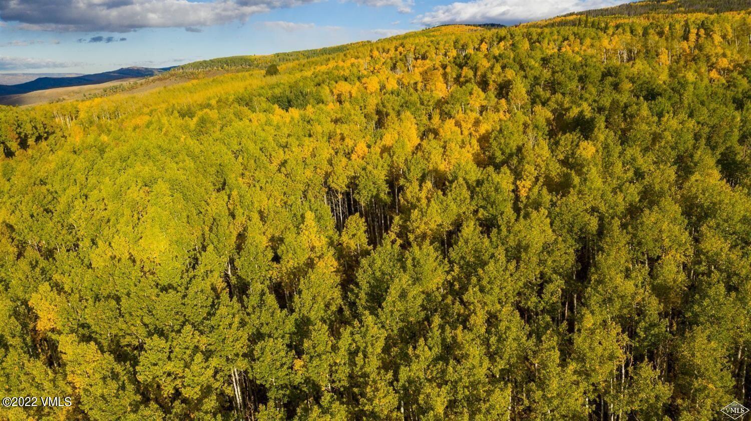 1855 Paintbrush Avon, CO 81620 - Photo 17 of 18 a view of a large window