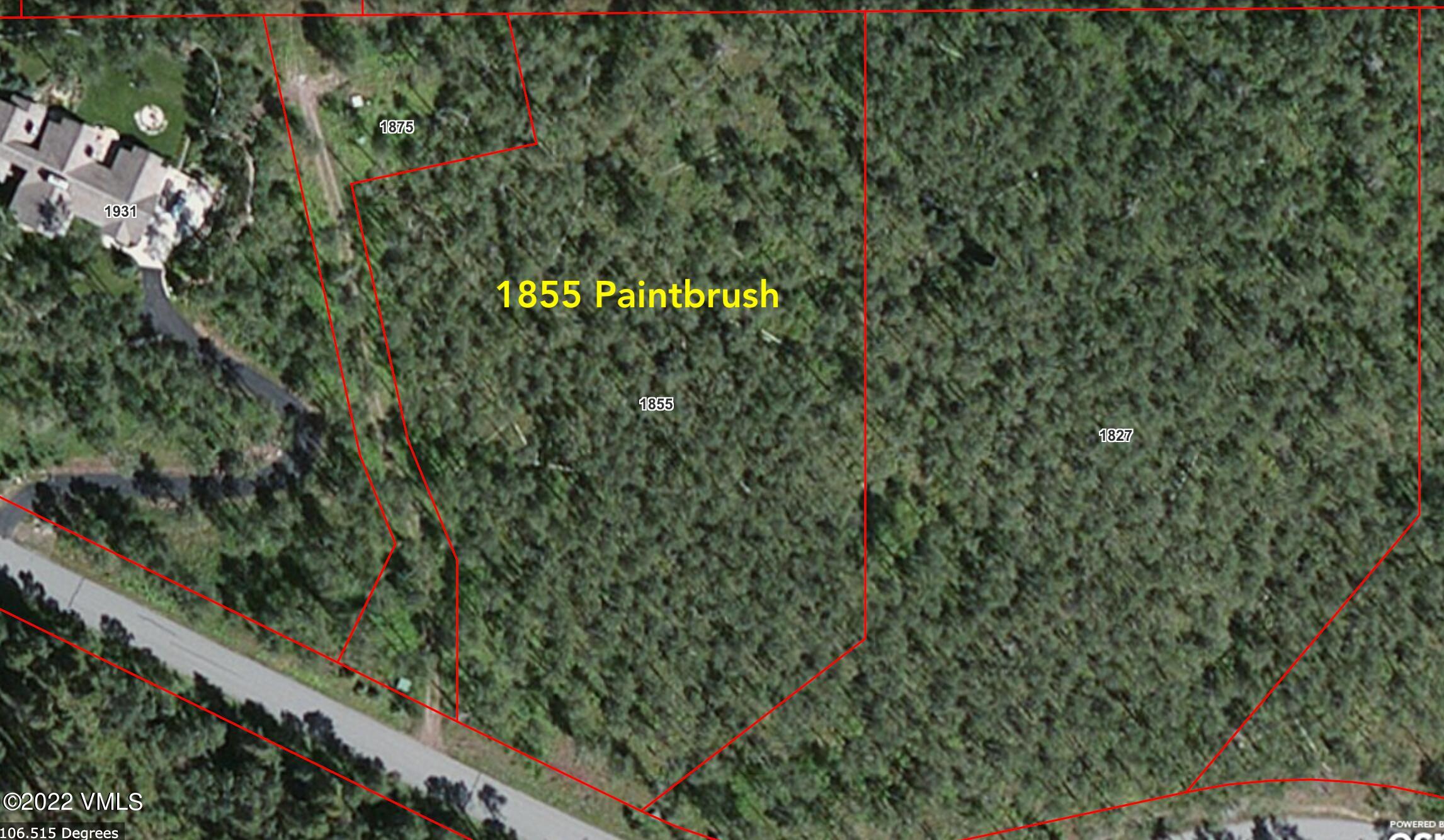 1855 Paintbrush Avon, CO 81620 - Photo 18 of 18 a close up of a tree in a forest