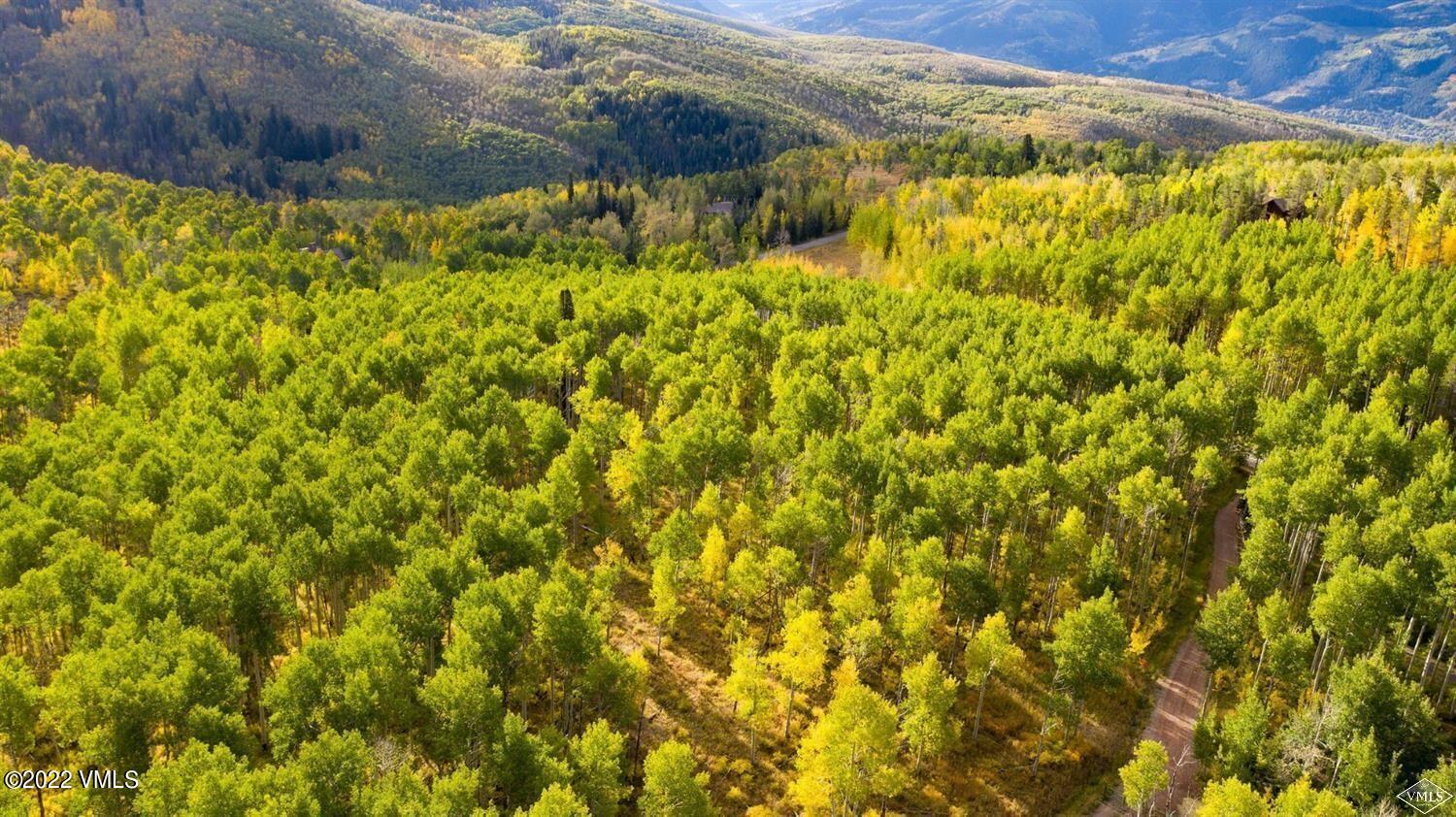 1855 Paintbrush Avon, CO 81620 - Photo 2 of 18 a view of a large yard with plants and large tree