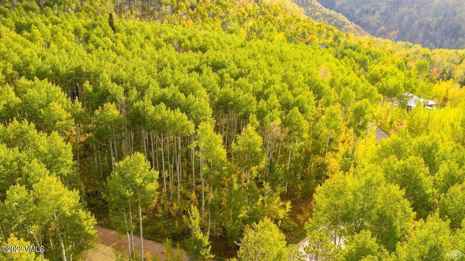 1855 Paintbrush Avon, CO 81620 - Photo 3 of 18 a view of a yard