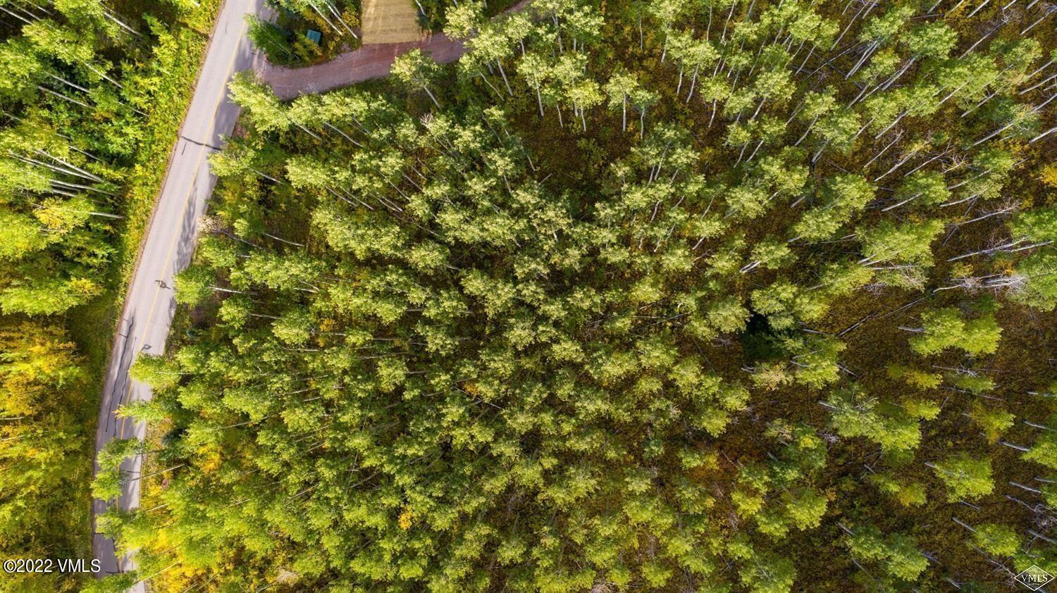 1855 Paintbrush Avon, CO 81620 - Photo 4 of 18 a view of a tree