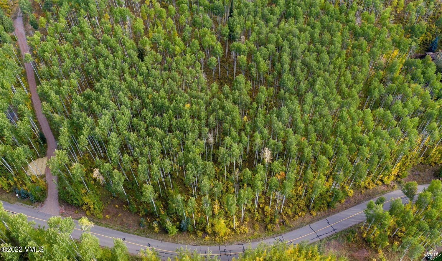 1855 Paintbrush Avon, CO 81620 - Photo 5 of 18 a view of a yard with a tree