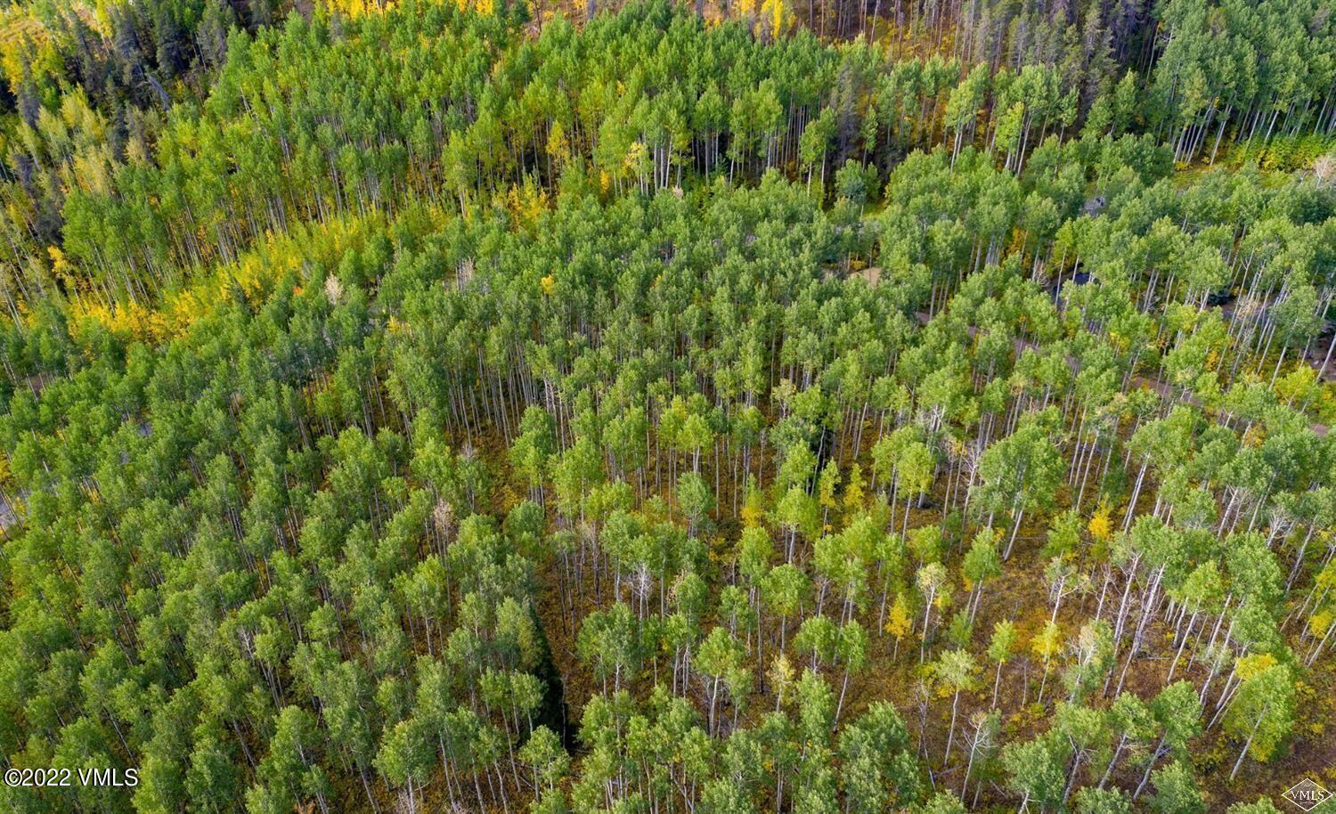 1855 Paintbrush Avon, CO 81620 - Photo 6 of 18 a view of a lush green field