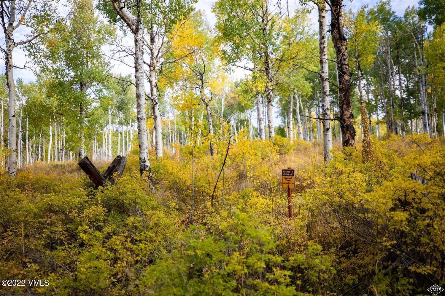 1855 Paintbrush Avon, CO 81620 - Photo 7 of 18 a view of yard with trees