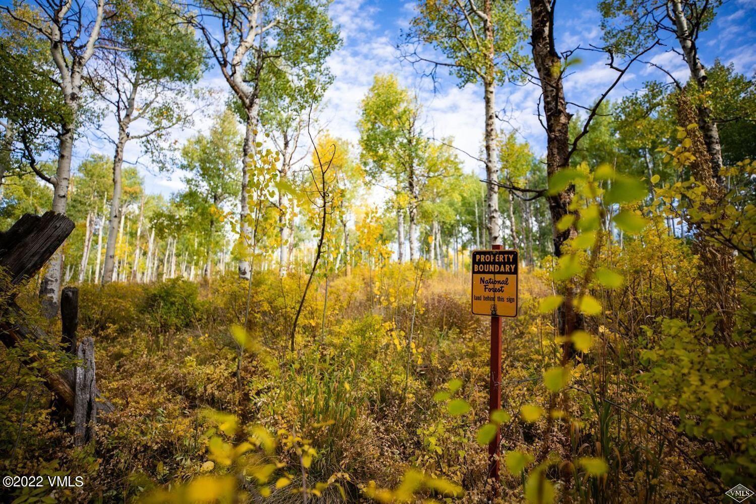 1855 Paintbrush Avon, CO 81620 - Photo 8 of 18 a bathroom with a tree in the background