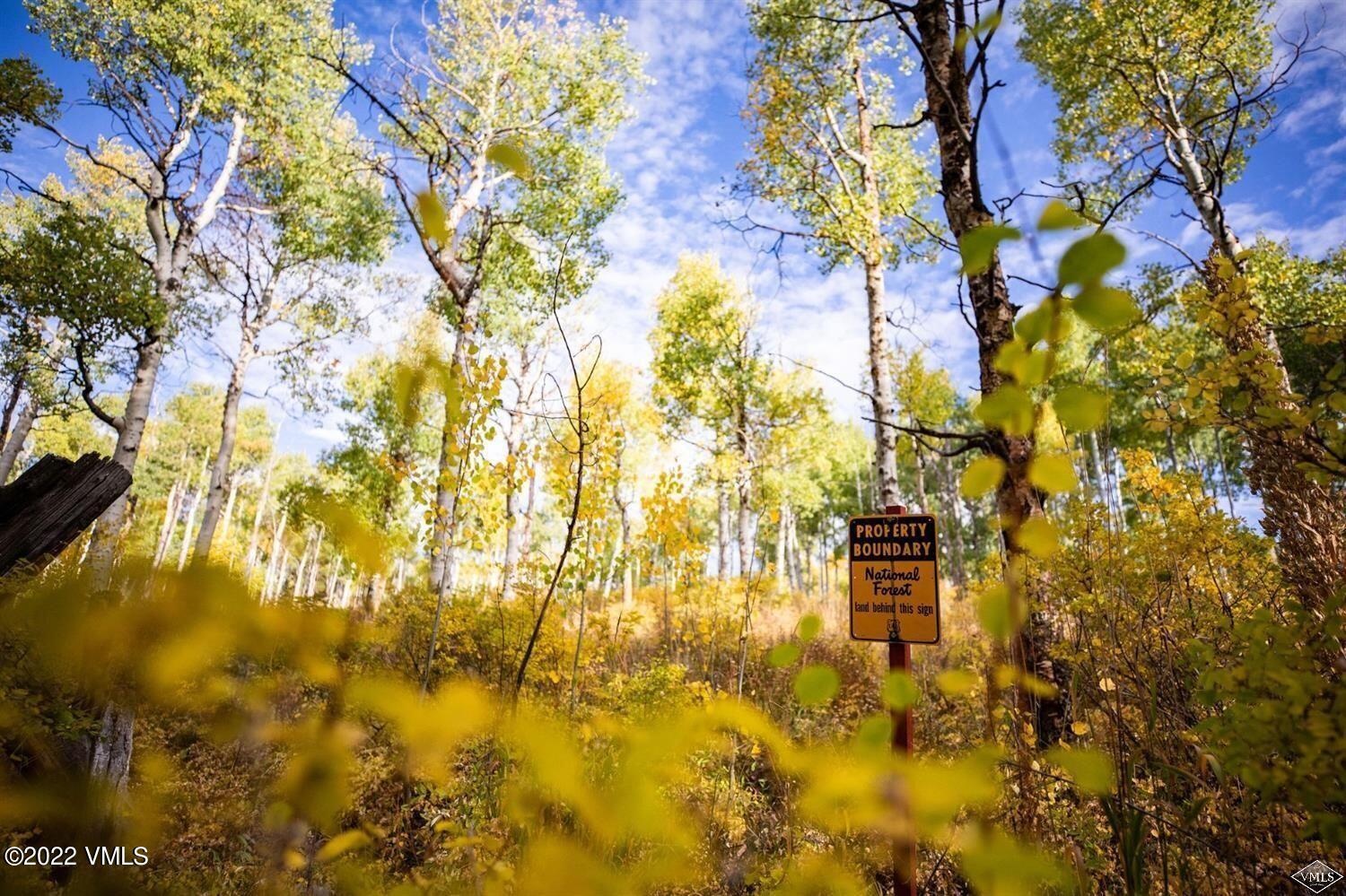 1855 Paintbrush Avon, CO 81620 - Photo 9 of 18 a view of yard from a building