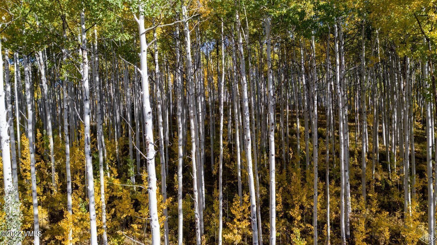 1855 Paintbrush Avon, CO 81620 - Photo 10 of 18 a view of outdoor space
