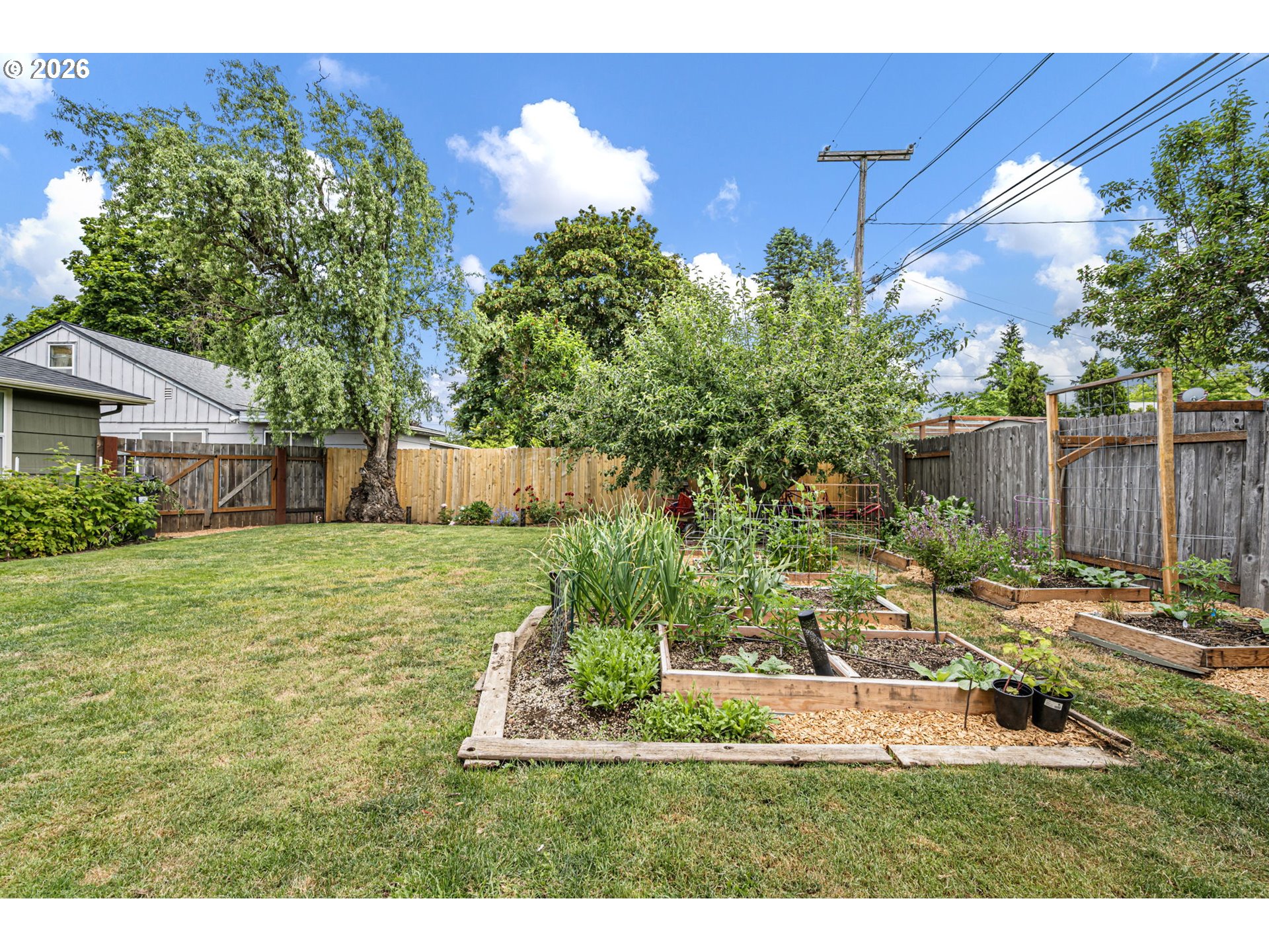 765 Louis Street Eugene, OR 97402 - Photo 38 of 45 a view of a backyard with potted plants and large tree