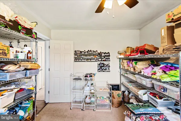 a room with lots of different kinds of fruit and vegetables