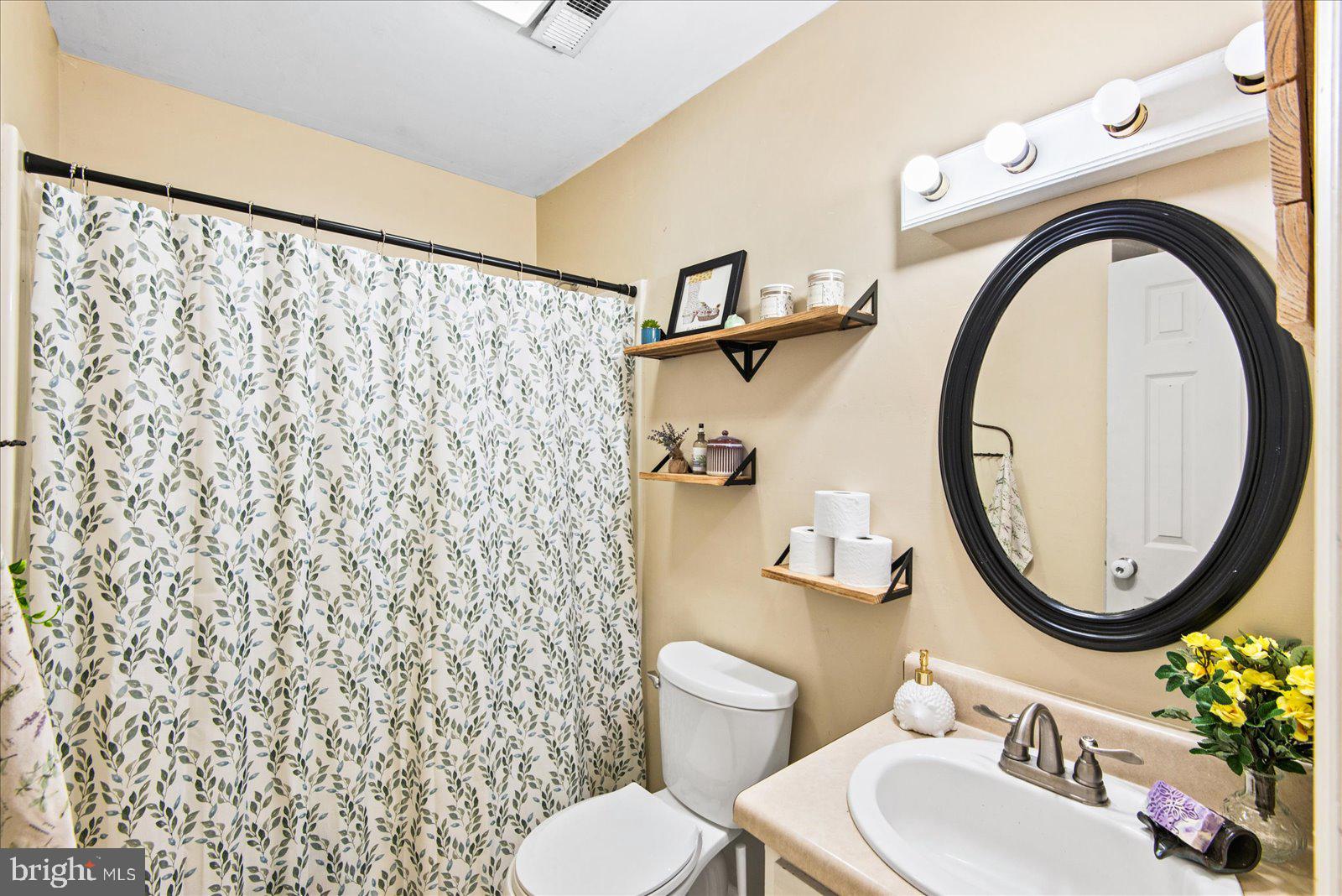 23165 Fork Bridge Road Milford, VA 22514 - Photo 25 of 51 a bathroom with a sink a toilet and a mirror