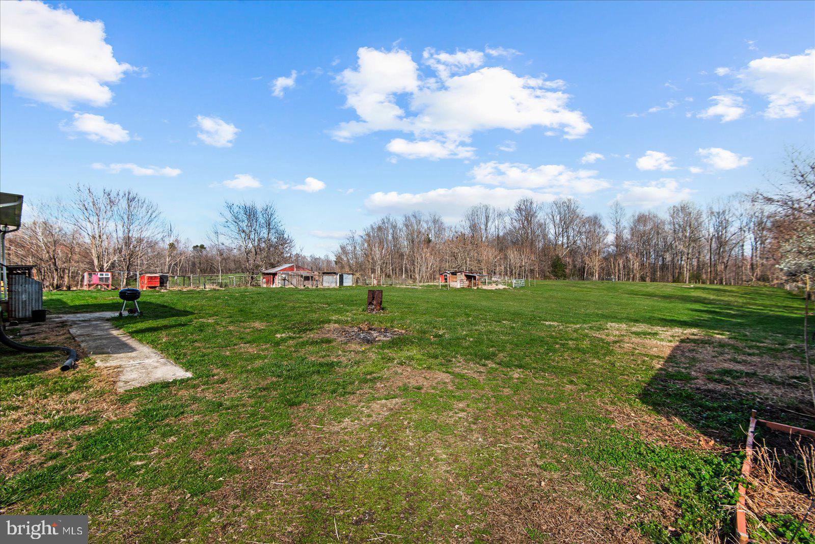 23165 Fork Bridge Road Milford, VA 22514 - Photo 33 of 51 a view of yard with grass & palm trees