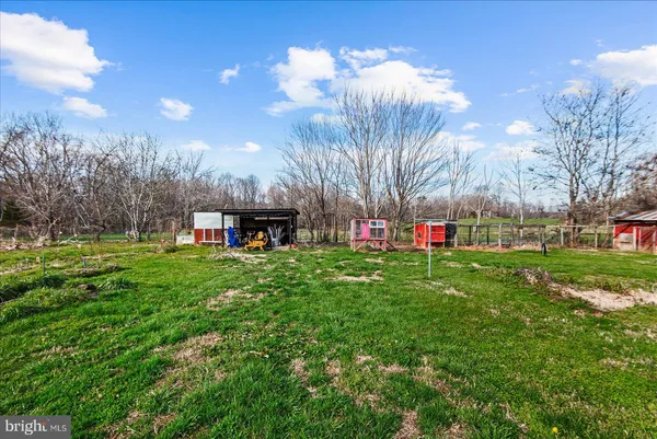 a view of yard with grass & palm trees