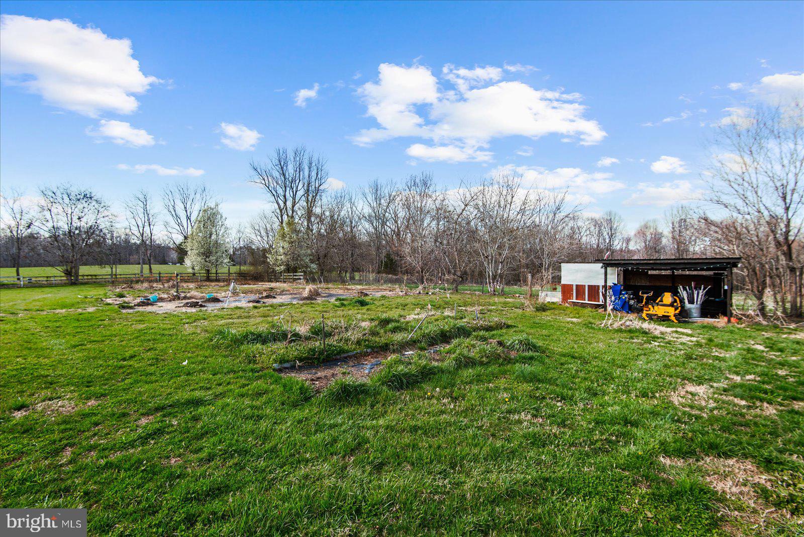 23165 Fork Bridge Road Milford, VA 22514 - Photo 35 of 51 a view of a big yard with large trees