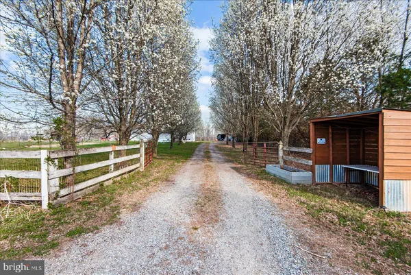 a view of a big yard with large trees