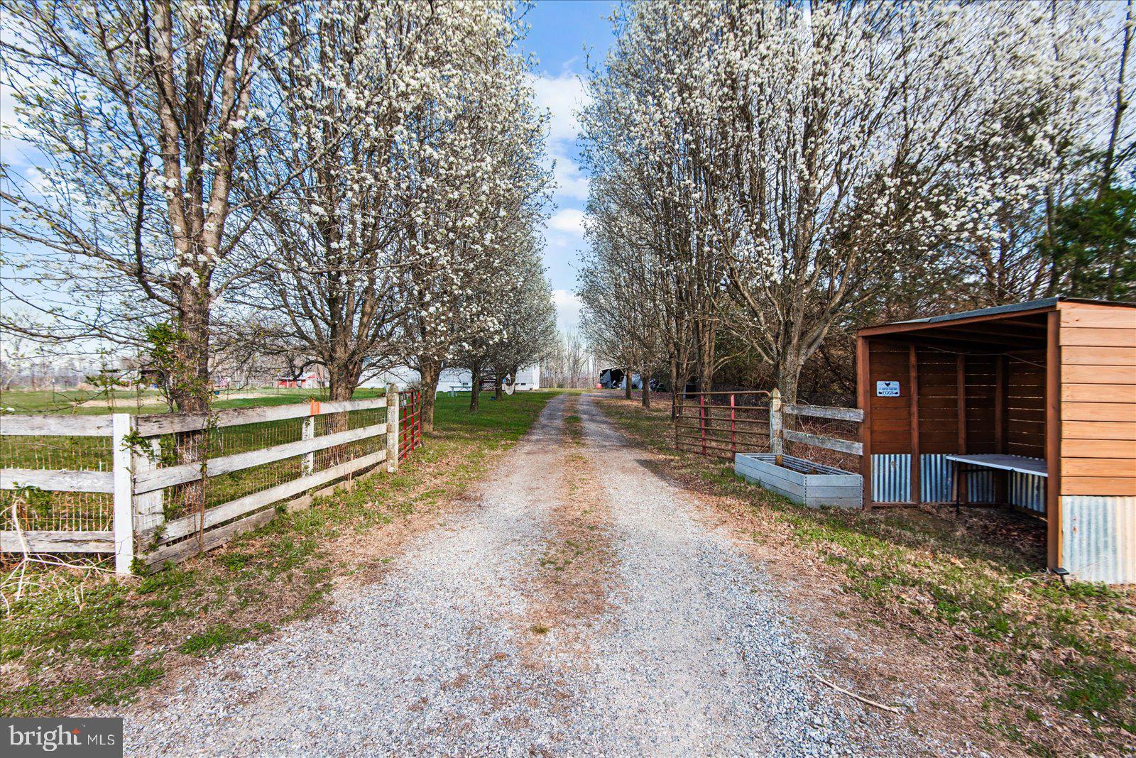 23165 Fork Bridge Road Milford, VA 22514 - Photo 36 of 51 a view of backyard with green space