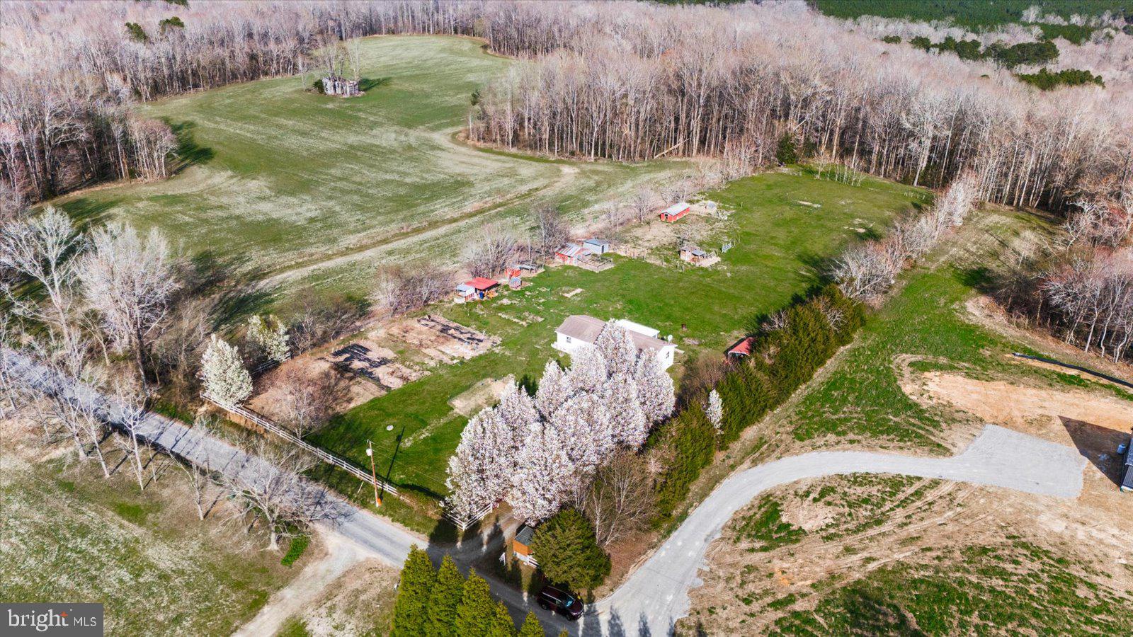 23165 Fork Bridge Road Milford, VA 22514 - Photo 40 of 51 a view of a garden