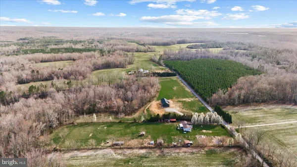 a view of a lake with lots of trees
