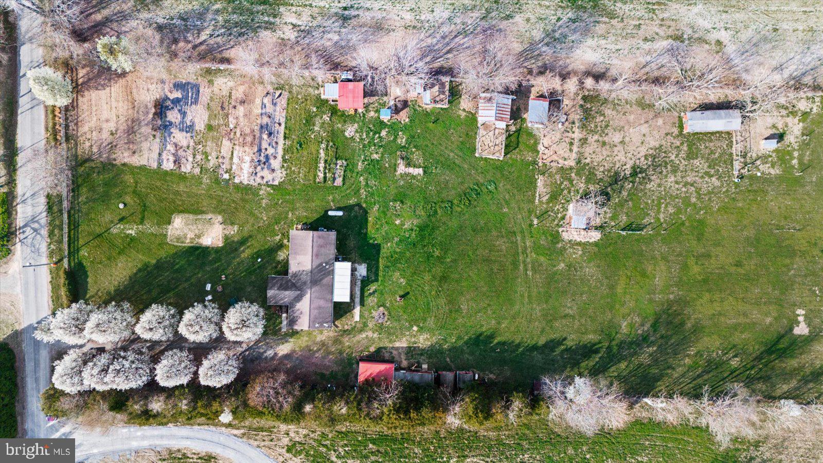 23165 Fork Bridge Road Milford, VA 22514 - Photo 43 of 51 a bunch of flowers are in a garden