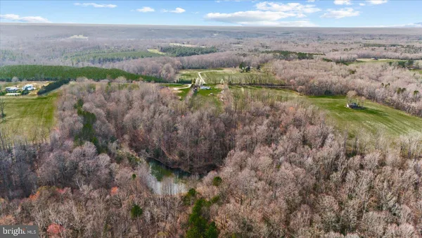 a bunch of flowers are in a garden