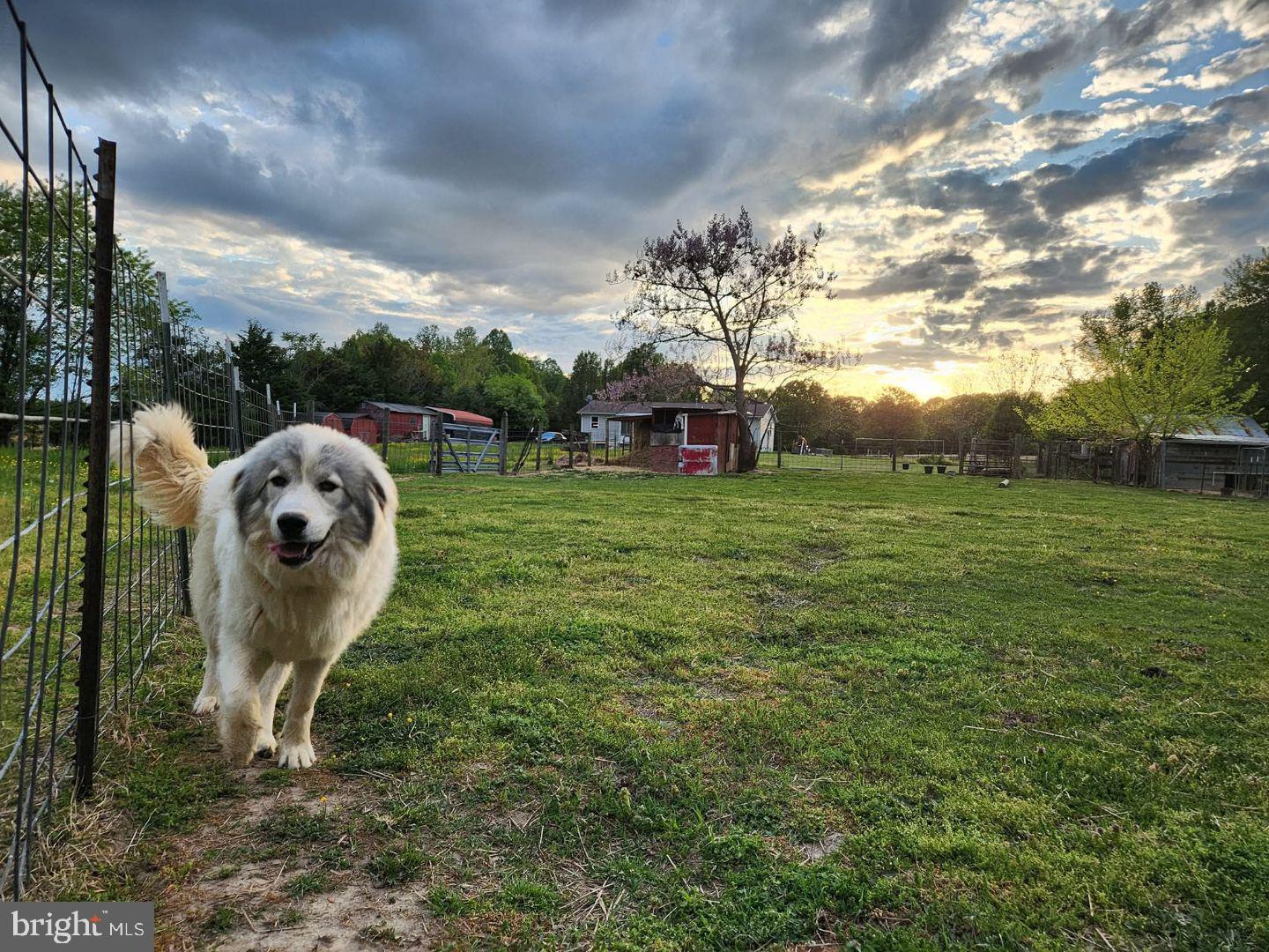 23165 Fork Bridge Road Milford, VA 22514 - Photo 48 of 51 a backyard of a house with table and chairs